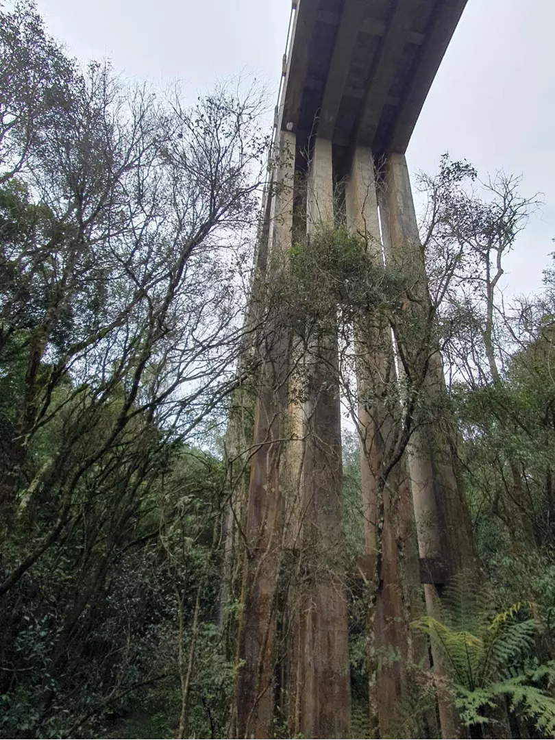 Cadáver é encontrado em estrada na cidade de Mafra